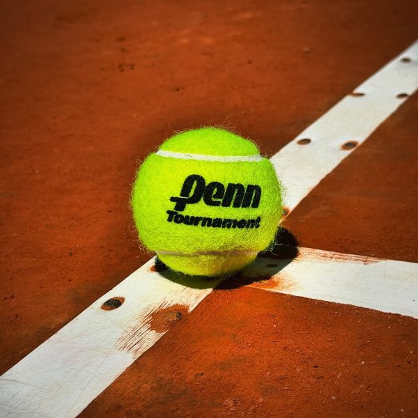 PENN TOURNAMENT SELLO NEGRO X100 - Imagen 3