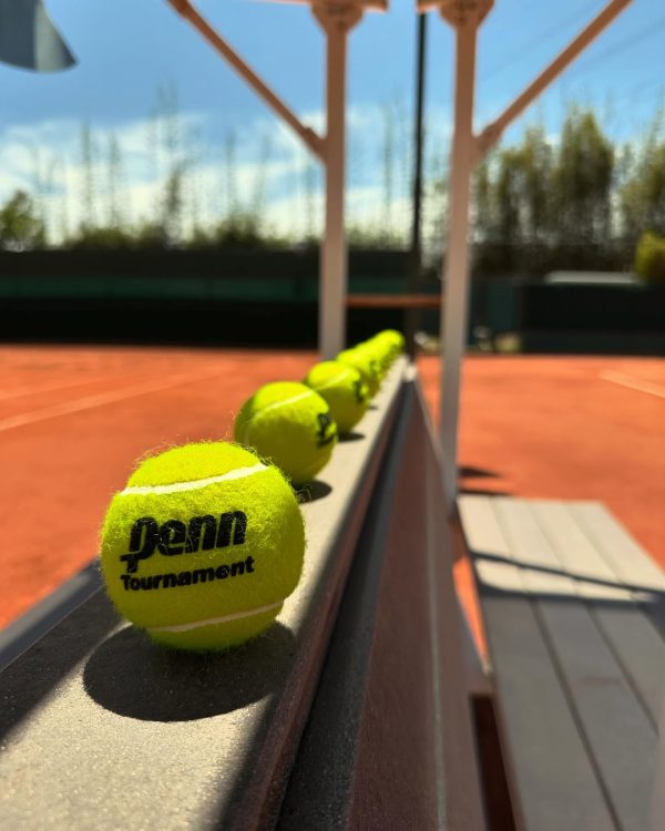 PENN TOURNAMENT SELLO NEGRO X100 - Imagen 2